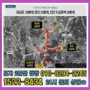 숲속아침 이미지