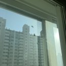 세븐일레븐 수원영통벽산점 | 수원 영통 아파트 유리창 청소 비용 창문 외창 전문 - 황골벽산풍림