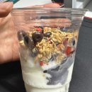 세종어진점 [메가커피]요아정 가성비 디저트[내돈내산] [요거젤라또 초코베리믹스] 후기