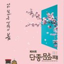영월-56