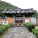 아라마 티스토리