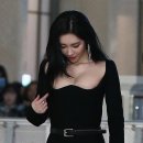 선미통돼지시지 이미지