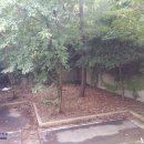 대통공인중개사사무소 이미지