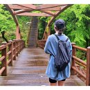 돈내코 평궤 화장실 | 제주도 한라산 등산코스 지도 및 성판악 관음사 소요시간