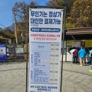 원주 소금산 출렁다리 입장권 망고빙수 맛집[앤트빌라] 빽다방 아이스라떼 솔직후기