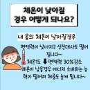 쉼다이어트