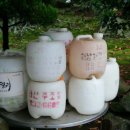 해창초등학교 이미지