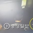 엘루이 이미지