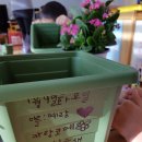 도개초등학교 병설유치원 이미지