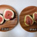 거  청 이미지