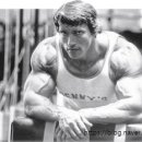 아놀드헬스 이미지