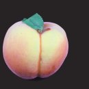 H3237 이미지