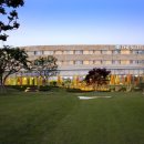 힐튼 경주 실외수영장 이미지