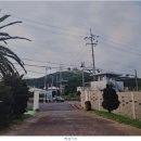 대정읍 상모리 워커운동장과 맥나브기지 이미지