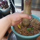 화월농장 이미지