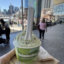 카 포인트 | 마운틴 별밤투어 (지그재그) 솔직후기 | 페더데일동물원, 에코포인트, 카툼바마을, 링컨스락, 별보기 ..?!