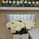 군산 전주 익산 후불제상조 추천 전북도민상조 군산중앙장례식장 후기