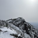 Mt Liberty (2/15/2025) 뜻밖의 좋은 날씨 이미지