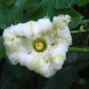 탑골농원 이미지