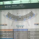 [일본 여행&amp;워홀 정보글]일본에 과일, 청양고추 가져가기!인천공항 식물검역 방법/후기/주의할 점
