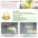 청정절임 Daum카페
