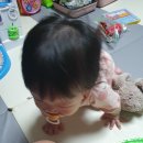 태건
