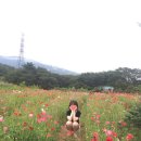 상수목장 이미지