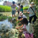 2026년 생태환경활동 제안해주세요~^^ 이미지