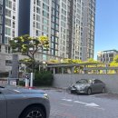 쌍암중흥 | 첨단 왁싱샵 티아라 방문후기