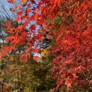 GS25북한산우이점 | 걷기 좋은 북한산 우이령길 단풍길 코스 완전정리 예약 단풍 현황 서울단풍명소