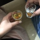 롤러올래롤러스케이트장 | [세종 다온숲 글램핑] 청주근교글램핑 , 다온숲 D열 (D2열)
