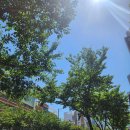 맘스터치 부산대2호점 | 2025年 7月 일상 . . .