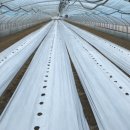 한동농장 이미지