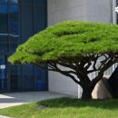 한국공학대학교 이미지