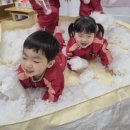 12월2주(10일) - 포근포근 솜 이미지