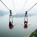 남이섬(추가) 이미지