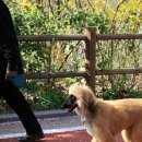 남산 산책로 이미지