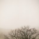 케논목장 이미지