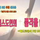 비춤