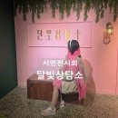 달빛에 머물다 | 부산서면전시회 서면미술관 실내데이트 달빛상담소