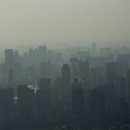 정화여행