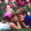 푸르른날 이미지