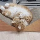 벼리서리 네이버블로그