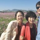 워커힐7080라이브 네이버블로그
