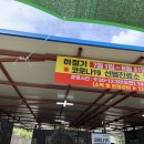 (주)웰리브 거제대우병원점 | 거제 코로나 검사 총정리 (검사장소/준비물/결과통보시간/검사후기)