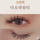 애니케어 동물병원 수유점 | 더오라뷰티 깃털래쉬 애니메래쉬 후기, 자연스럽고 편안한 연장의 정석