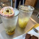 하트시그널3맛집 서촌스코프 경복궁역브라우니스콘 맛집, 디저트카페, 내돈내산 솔직 후기