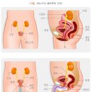 온기담은 한의원 이미지