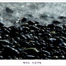 흑진주 - 부안군 시장길 16-2 | 흑진주
