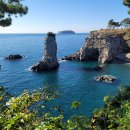 제주 올레길 7코스 이미지